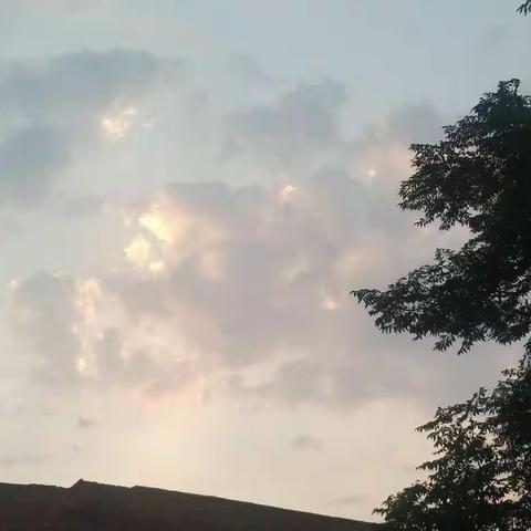 努力绽放，属于自己的光芒