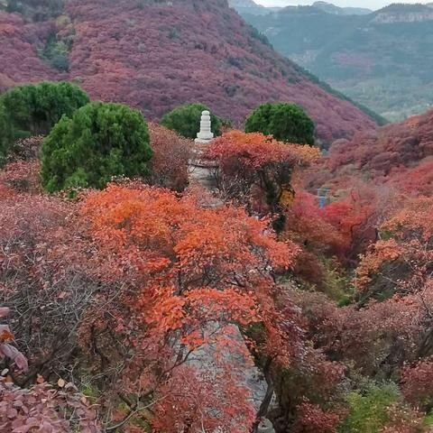 二0重阳登石门
