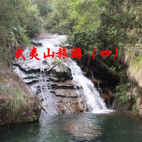 武夷山旅游（四）