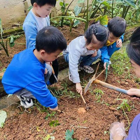 邓邓老师的美篇