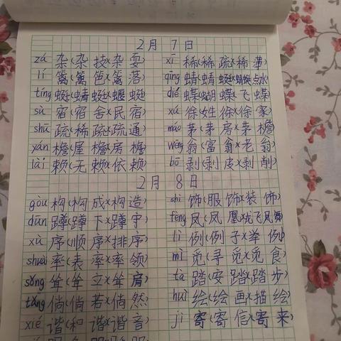 吴善儒2月7日—2月19日作业