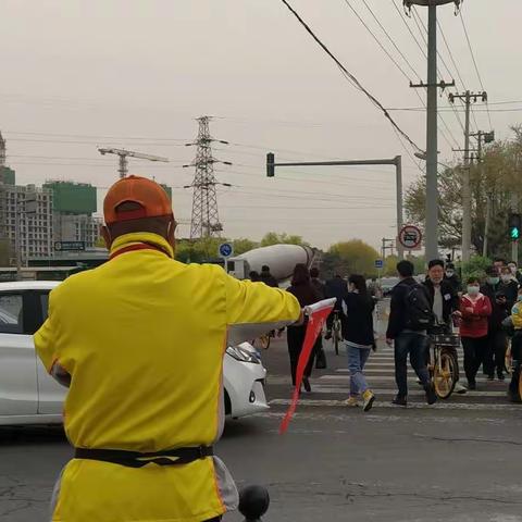 扬沙多云挡不住柠檬黄的亮丽