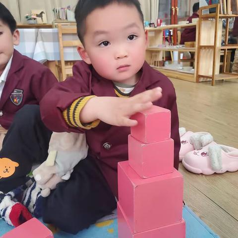 乘风三月～小柠檬🍋🍋