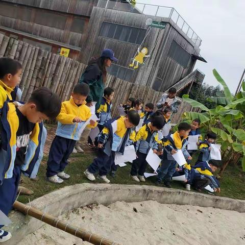 寻找柠檬的春天～～～