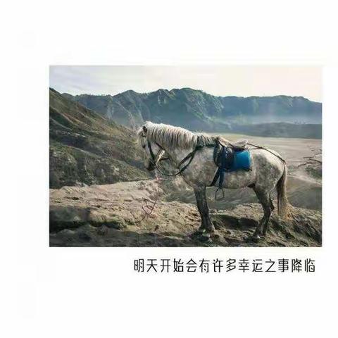 迷途中的我