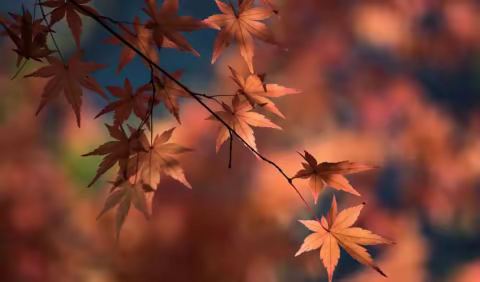 孩子的出生时辰，决定了他一生的性格