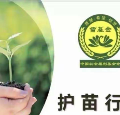 护苗行动，你我同行——天涯区天涯小学