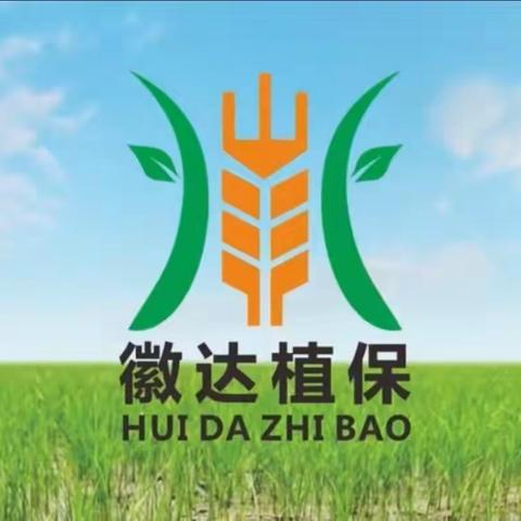 2023年徽达植保巢湖市场启动会