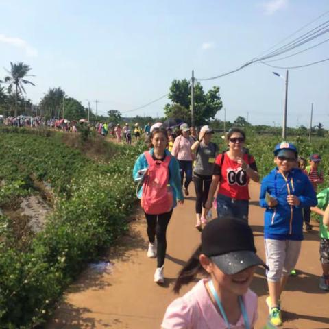 亲子活动−寻找红树林