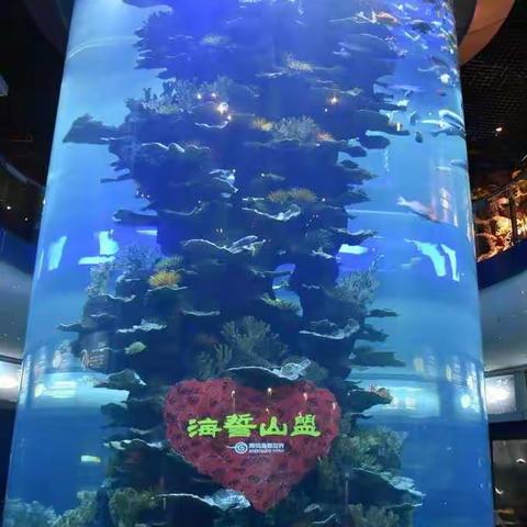 程思瀚的快乐假期