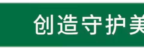 宣城中环洁城市环境服务有限公司工作日报2024.11.9