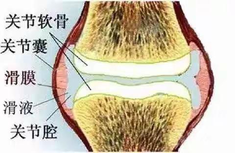 膝关节有积水抽了就行吗？反反复复该怎么办？