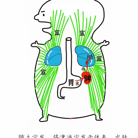 如何预防，以及感染奥密克戎后怎么办？（中医、食疗的方法）