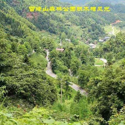 枳木槽战地公园————关于在洪江市塘湾镇枳木槽村