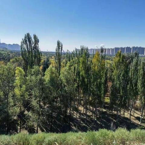 抗疫情歌曲《大同人》