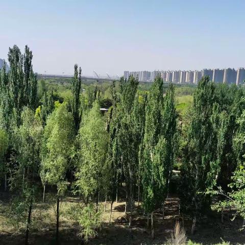 儿歌两首——儿童节给孩子们的礼物