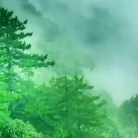 回望《四季》——子锋作词 李恒林作曲