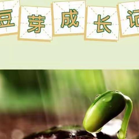 生物社会实践活动之豆芽成长记——天山四中 七年三班 胡钰儿（副本）