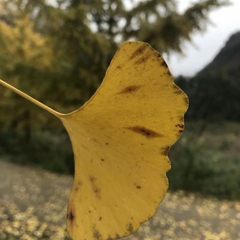 南怀瑾