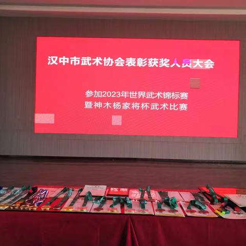 汉中市武术协会表彰大会