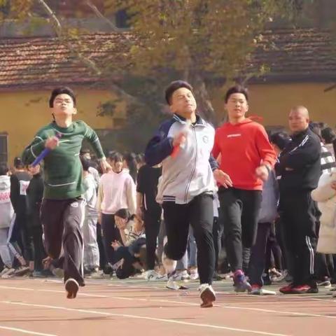 我理想中的师生关系