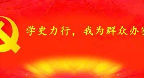 华美社区党委开展综治平安建设宣传活动暨“学史力行，我为群众办实事”党员实践活动