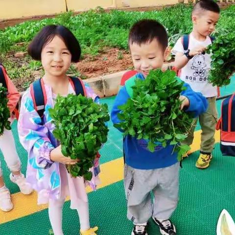 育梦幼儿园与您发起美食共享🌻