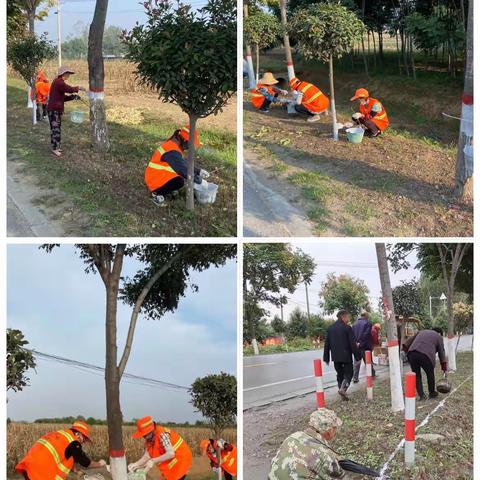 国道345舞钢段顺利完成交通部路况检测工作