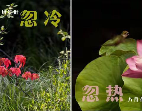 忽冷忽热 2021 每月一题 【三】