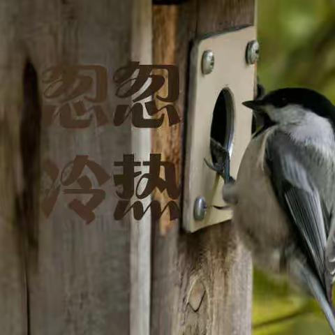 忽冷忽热东宫轶事