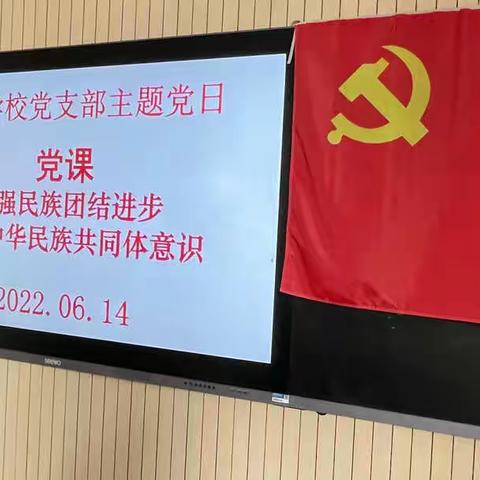 西桥学校党支部“铸牢中华民族共同体意识”主题党日