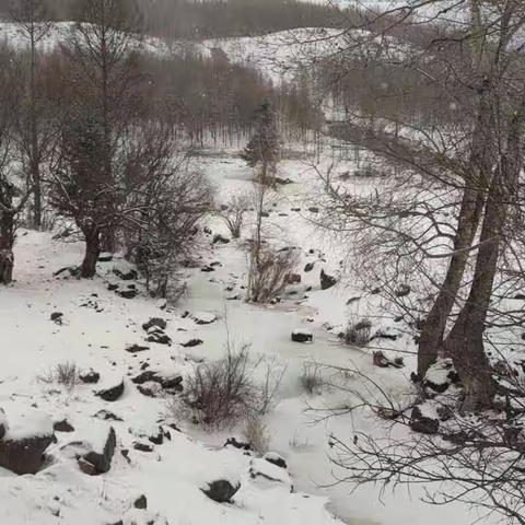 飞雪铺天地 行动暖人心