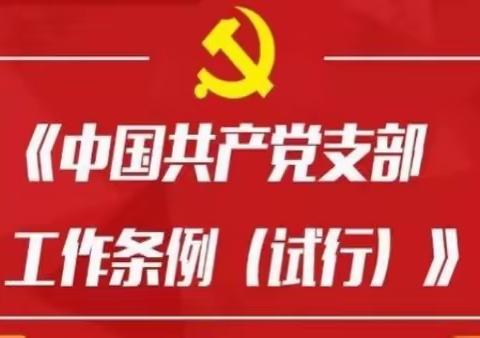 深入学习领会条例 促进党建质效提升——局第六党支部主题党日活动