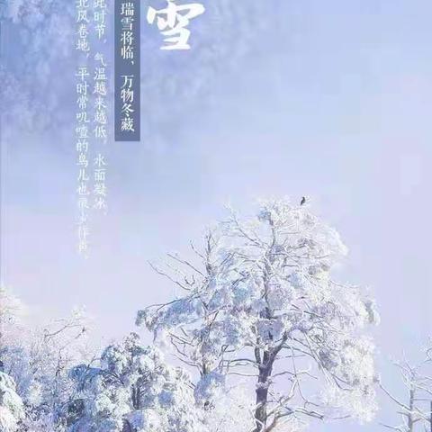 雾凇挂满枝，片片雪花飘——大雪