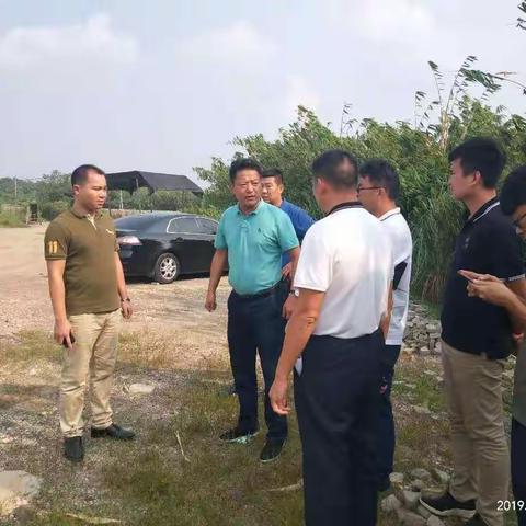 戴洪泽副区长对2018年度土地卫片进行现场督办整改