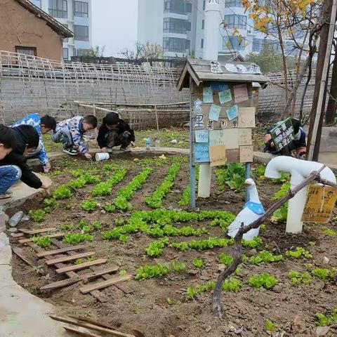 户外游戏——自然游戏