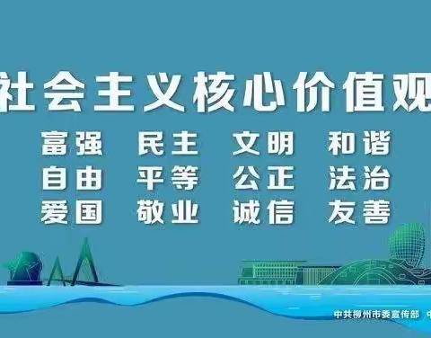 聚焦学情，精准教学——柳州市第二十五中学英语组第十一周常态公开课活动