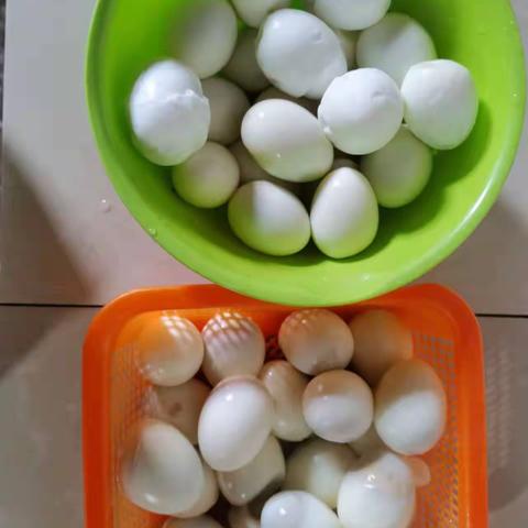 传承民族文化——三月三为什么要吃荠菜煮鸡蛋