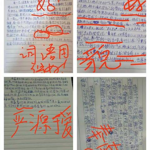 【圆梦孟园·智育】线上教学总结