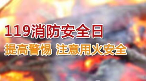 紫竹苑幼儿园2020年“关注消防，生命至上”11月9日全国消防日