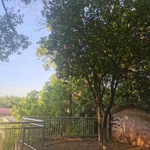 乙巳孟秋湘大秀山晨炼寄美邦杜大夫、沈师姐