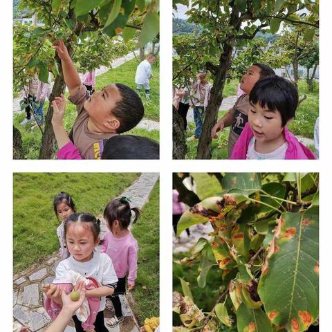 镇远县机关幼儿园中二班— 愿你有个凉爽快乐甜蜜的的夏天（就像我们的冰糖雪梨）😄😄😄