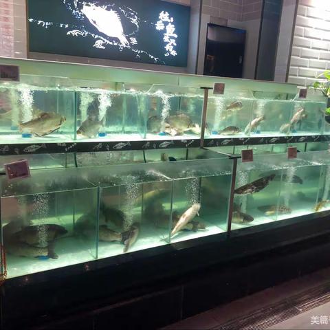 中秋运营巡店整改报告《长城汇店》
