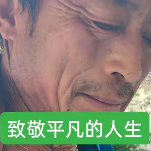 园林美容师