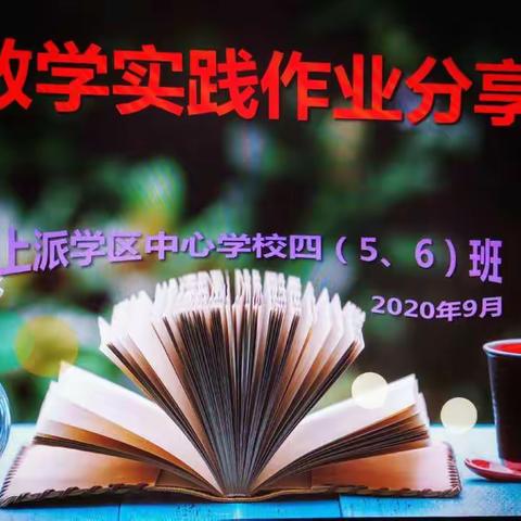 数学实践作业分享会