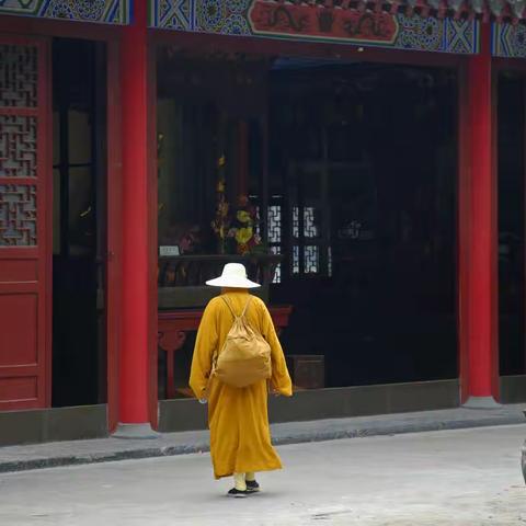 【七绝】游合肥明教寺