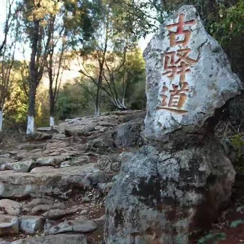 泉北春风徐徐来     驿路梨花处处开