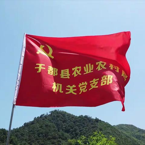 走长征路悟长征精神，传百年魂促乡村振兴