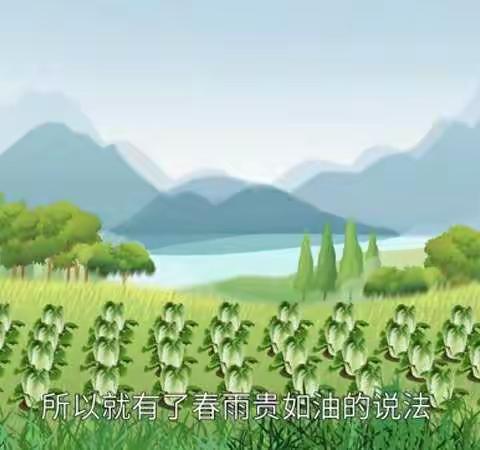 小三班谷雨美篇