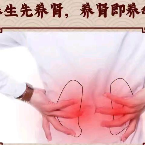 检测♦肾生血与骨髓生血（视频）